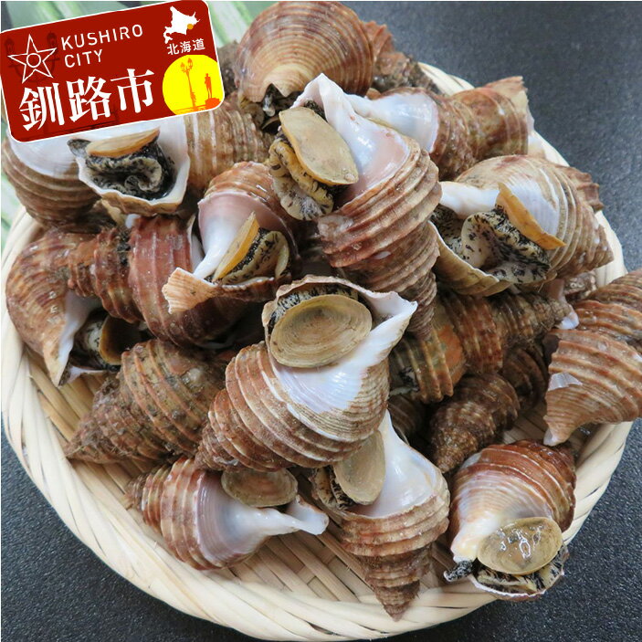 【ふるさと納税】【釧路産】活灯台つぶ　3kg　Ma501-A364