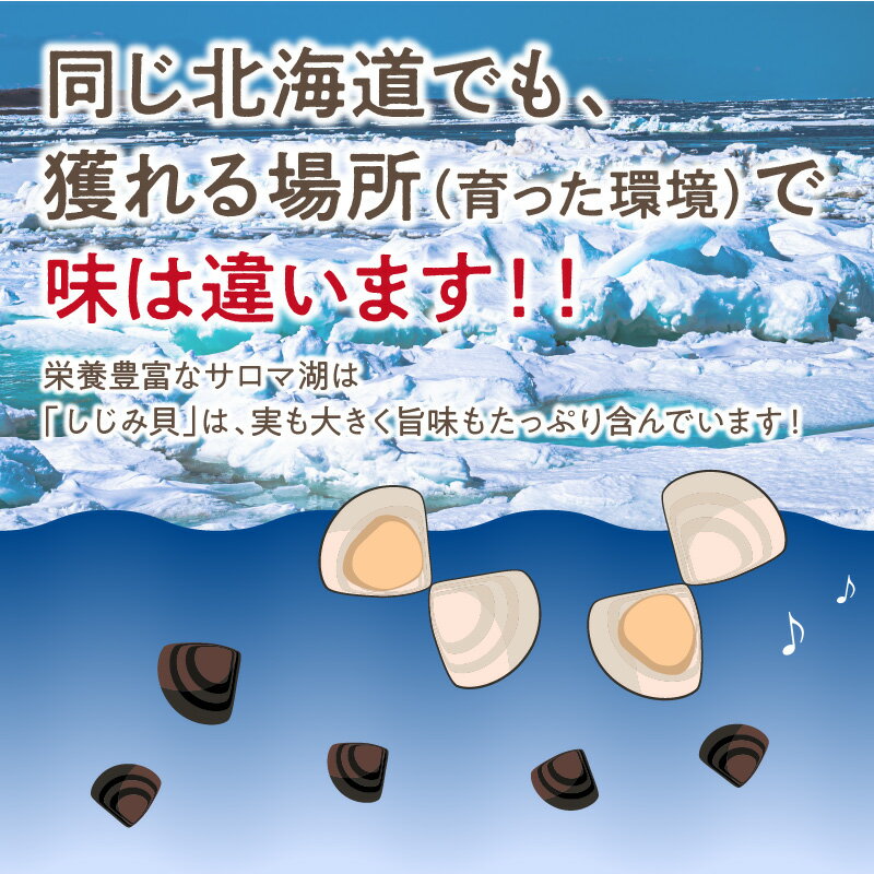 【ふるさと納税】《14営業日以内に発送》サロマ湖産 冷凍しじみ 500g×3袋 ( 魚介類 貝類 しじみ シジミ 1.5キロ 冷凍 サロマ湖 カルシウム ビタミンB12 タウリン 鉄分 味噌汁 )