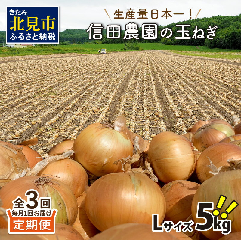 【ふるさと納税】生産量日本一！信田農園の玉ねぎ5kg【3ヶ月定期便】【2022年9月から順次発送】 3回 野菜 5キロ 期間限定 予約 先行予約