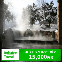 【ふるさと納税】北海道北見市の対象施設で使える楽天トラベルクーポン 寄附額50,000円 旅行 クーポン チケット ふるさと納税 楽天トラベル