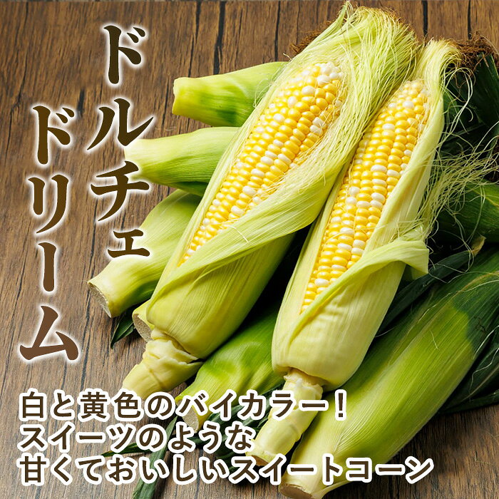 【ふるさと納税】＜本数選べる＞スイートコーン ドルチェドリーム (6～10本)【2026...
