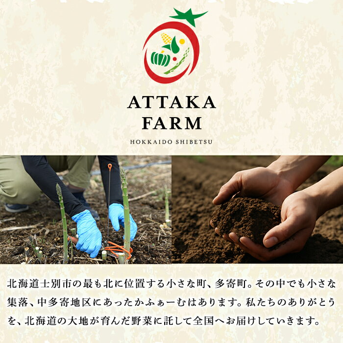 【ふるさと納税】＜特別栽培・期間限定＞北海道士別市産 朝採りグリーンアスパラ (M～2Lサイズ混合・500g～1.5kg) 【2026年5月以降順次発送】野菜 アスパラ アスパラガス グリーンアスパラ 北海道 北海道産 国産 旬 産地直送 【あったかふぁーむ】