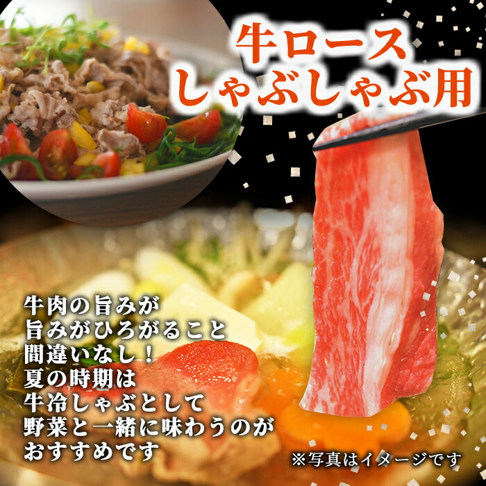 【ふるさと納税】北海道士別市産 牛ロース しゃぶしゃぶ 用 (300g×1P) 牛 牛肉 肉 ...