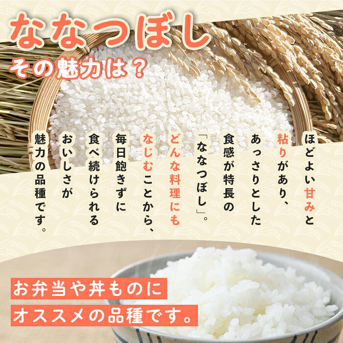 【ふるさと納税】＜令和8年産 新米 / 白米 ・ 玄米が選べる＞「朝日町のお米」 ななつぼし (5kg・10kg・15kg) 【先行予約受付中！2026年11月から順次発送予定】士別産 米 新米 お米 精米 白米 玄米 北海道米 ごはん ななつぼし 北海道産 士別市 5kg 10kg 15kg【城守商店】