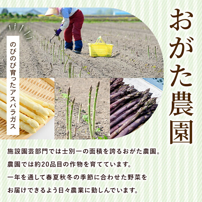 【ふるさと納税】《先行予約受付中》《数量・期間限定》朝採り グリーンアスパラ(1kg・ M～2L混合)【2026年4月下旬以降発送予定】アスパラガス アスパラ 北海道産 野菜 朝採り 産地直送 新鮮野菜 【おがた農園】