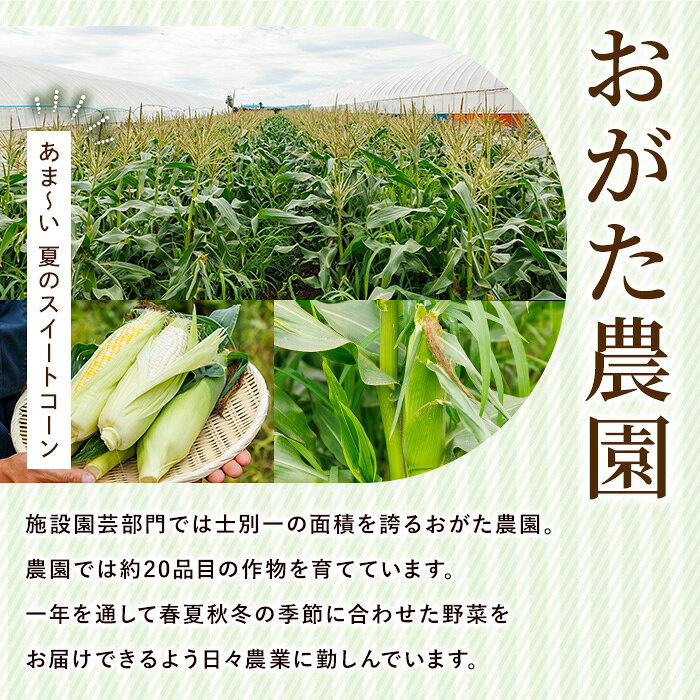 【ふるさと納税】＜本数選べる＞スイートコーン ドルチェドリーム (6～10本)【2026...