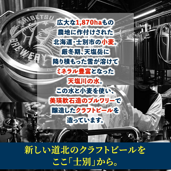 アサヒ アサヒ生ビール（マルエフ）250ml缶×2ケース（全48本） 送料無料