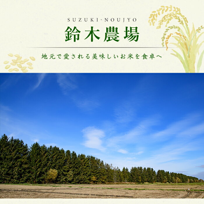 地元で愛される美味しいお米を食卓へふるさと納税 北海道 士別市 特産品　【ふるさと納税】＜新米・楽天限定＞南士別のお米 おぼろづき (5kg) 数量限定 米 お米 白米 精米 北海道米 北海道産 おぼろづき ごはん コメ おこめ 5kg 【鈴木農場】