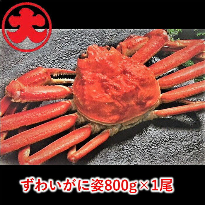 ずわいがに姿800g×1尾