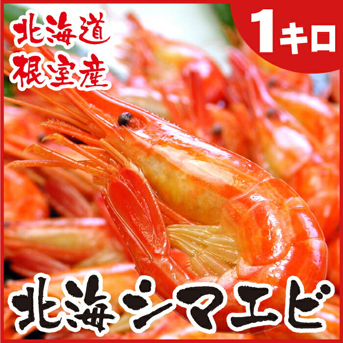【ふるさと納税】 [北海道根室産]北海シマエビ1kg(160〜180尾) A-07012