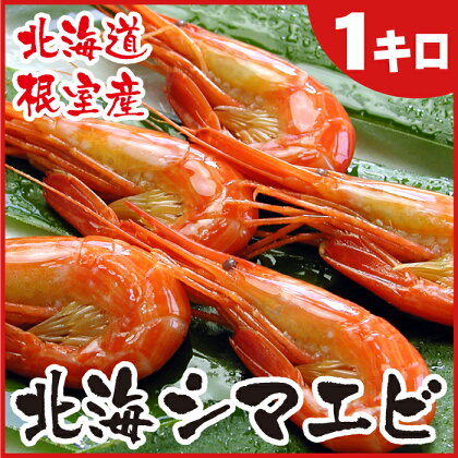 [北海道根室産]北海シマエビ1kg(160～180尾) A-07012