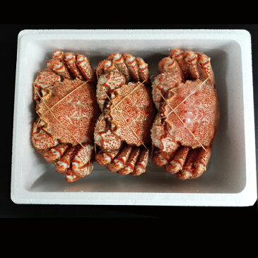【ふるさと納税】 ボイル毛がに900g〜1.1kg×3尾 D-11015