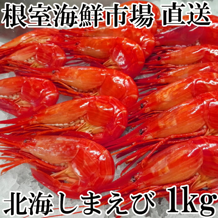 昆布森産 北海シマエビ 大 浜ゆで 急速冷凍 26尾 計500g 出荷時期 21年9月ごろ発送 ふるさと納税バイブル 昆布森産 北海シマエビ 大 浜ゆで 急速冷凍 26尾 計500g 出荷時期 21年9月ごろ発送 ふるさと納税バイブル