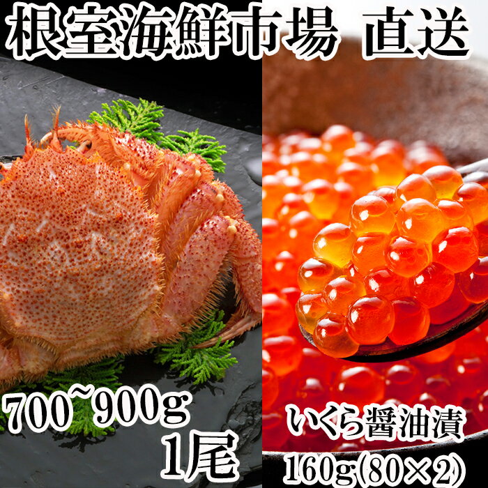 【ふるさと納税】 ボイル毛ガニ700〜900g×1尾、いくら醤油漬け80g×2P B-14027