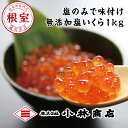 【ふるさと納税】【12月20日決済確定分まで年内配送】塩いく...