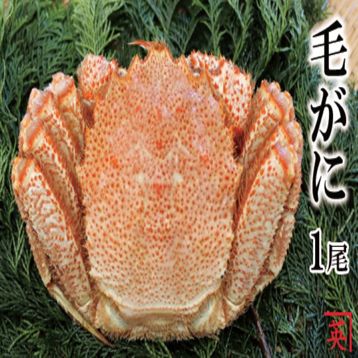 楽天北海道根室市【ふるさと納税】 [北海道根室産] ボイル毛蟹 600g ~ 1kg × 1 尾 毛がに 毛ガニ けがに ケガニ かに カニ 蟹 ミソ カニミソ カニ味噌 蟹味噌 かに味噌 お取り寄せ グルメ 海鮮 茹で蟹 茹でがに 茹でガニ 北海道 根室市 ふるさと納税 B-27009