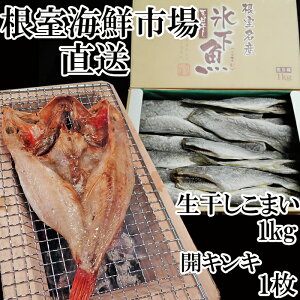 【ふるさと納税】根室海鮮市場＜直送＞生干しこまい1kg、開キンキ(めんめ)1枚 A-28044【12月13日決済確定分まで年内配送】