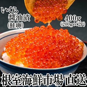 【ふるさと納税】根室海鮮市場<直送>いくら醤油漬け(鮭卵)200g×2P(計400g) A-28101