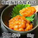 【ふるさと納税】根室海鮮市場＜直送＞うに塩辛60g×1本 A