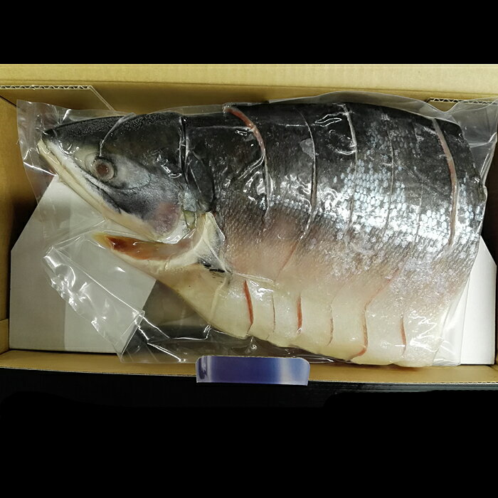 【ふるさと納税】根室海鮮市場＜直送＞天然時鮭切身4P(1尾分) B-28005