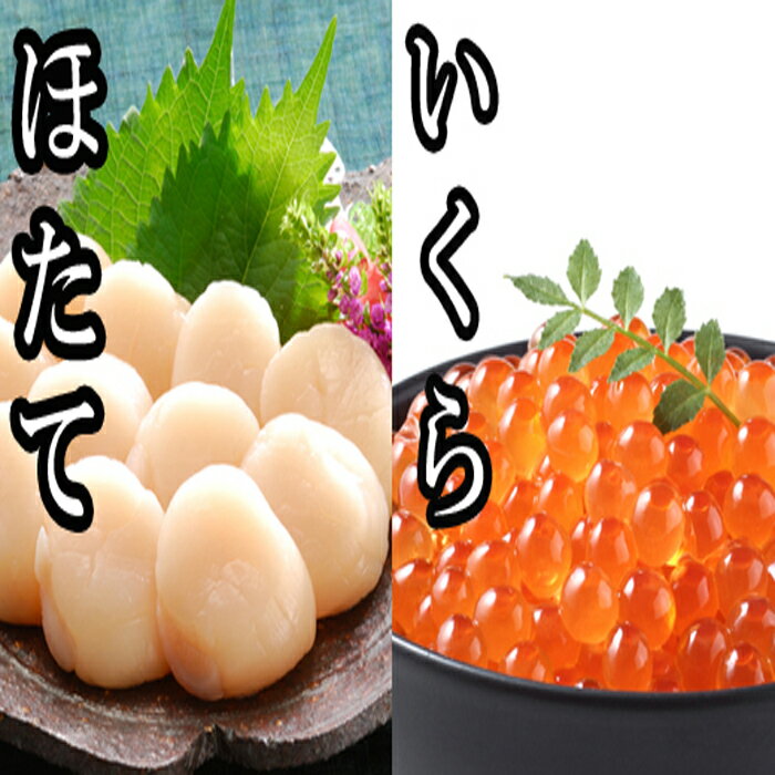 【ふるさと納税】いくら醤油漬け100g×2P、ほたて貝柱500g×1P B-30019