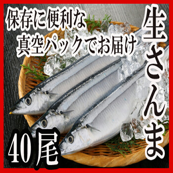 42位! 口コミ数「0件」評価「0」[北海道根室産]さんま40尾 C-30002