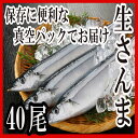 【ふるさと納税】[北海道根室産]さんま40尾 C-30002【12月20日決済確定分まで年内配送】