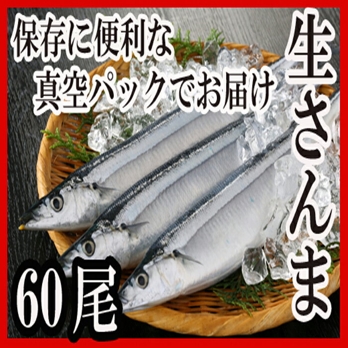 魚介類・水産加工品(サンマ)人気ランク11位　口コミ数「0件」評価「0」「【ふるさと納税】[北海道根室産]さんま60尾 D-30002」