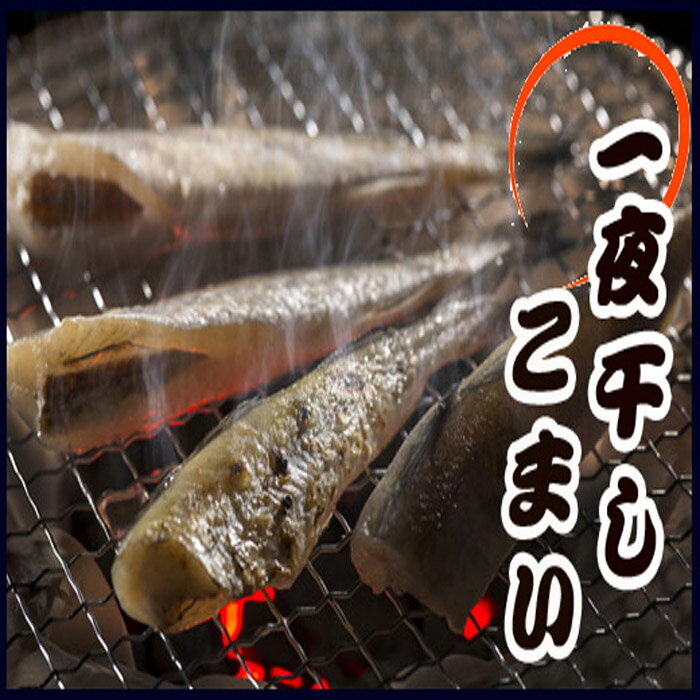 ڤդ뤵Ǽǡ[̳ƻ]봳ޤ200g510 ٤ ޥ ɹ    ̳ƻ 