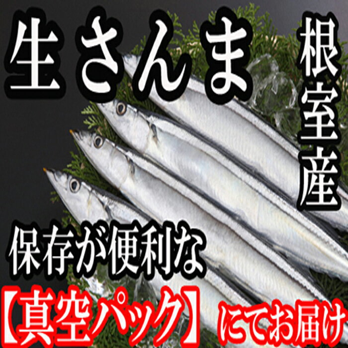 【ふるさと納税】[北海道根室産]さんま30尾 B-36005