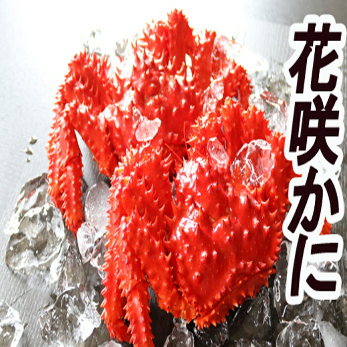 ڤդ뤵Ǽǡ[̳ƻ]ֺ餫400600g10 D-36007