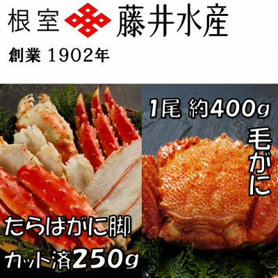 年12月最新版 ふるさと納税 カニ コスパ最強 おすすめ特集 年12月最新版 ふるさと納税 カニ コスパ最強 おすすめ特集
