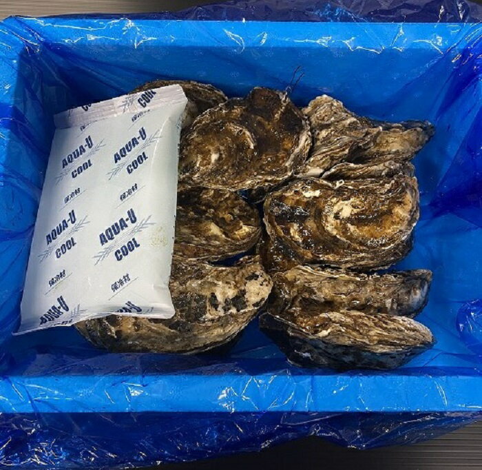 【ふるさと納税】[北海道根室産]貝付き牡蠣80個[2021年4月中旬以降発送] D-54008