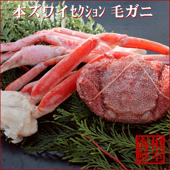 【ふるさと納税】【12月20日決済確定分まで年内配送】ズワイガニと毛ガニの食べ比べセット B-57022