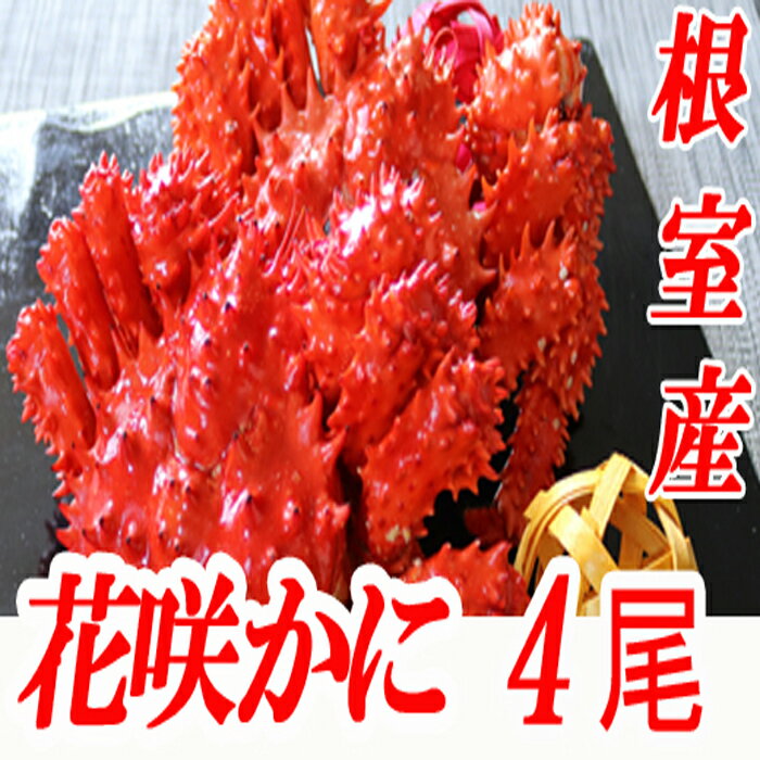 【ふるさと納税】[北海道根室産]花咲かに300〜450g×4尾 A-70001のサムネイル