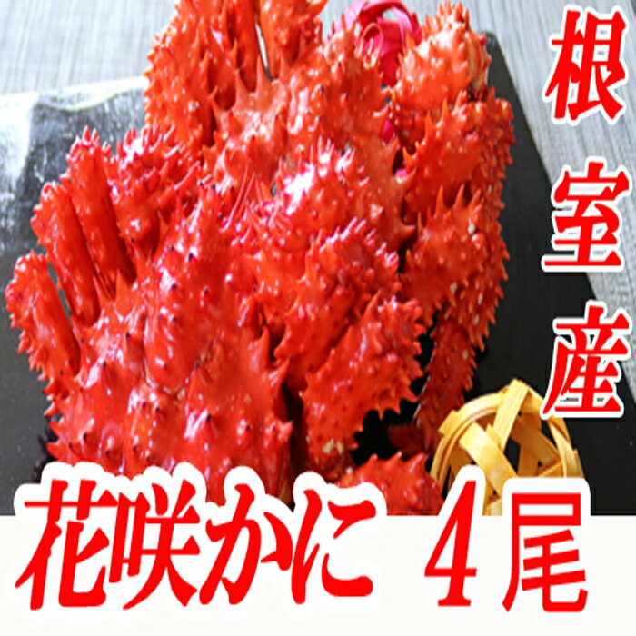 52位! 口コミ数「7件」評価「3.86」[北海道根室産]花咲かに300g前後～450g×4尾 A-70001