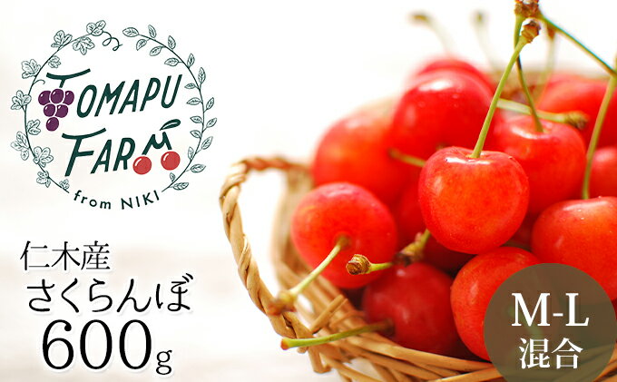 人気ショップが最安値挑戦 ふるさと納税 農業ママのサクランボ800g 0g 4 果物類 フルーツ さくらんぼ チェリー サクランボ お届け 21年7月上旬 7月日頃 100 本物保証 Www Ugtu Net