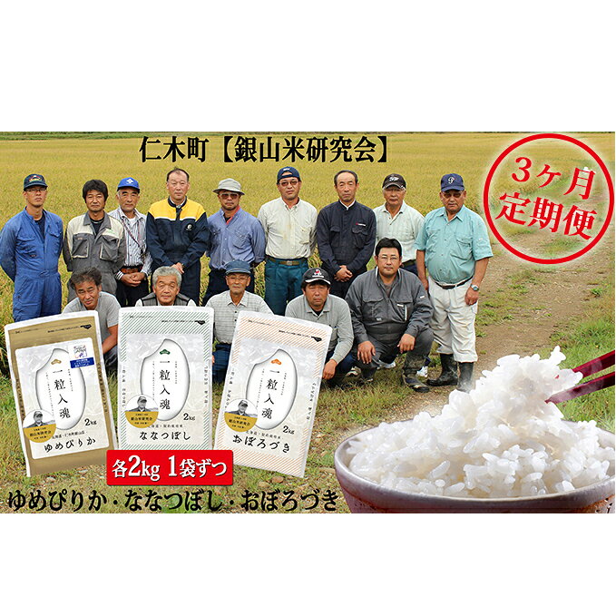 【ふるさと納税】3ヶ月連続お届け銀山米研究会のお米3種食べ比べセット（計6kg）　【定期便・米・お米・ゆめぴりか】