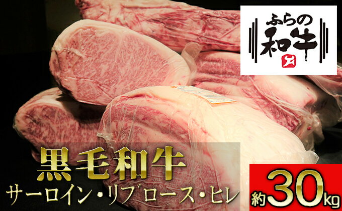 ふるさと納税 ふらの和牛 豪華部位半頭買いセット 牛肉 定期便 牛肉 サーロイン お肉 ロース 牛肉 ヒレ 北海道上富良野町 北海道上富良野町
