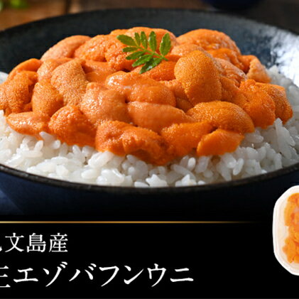 【ふるさと納税】北海道礼文島産　エゾバフンウニ（塩水）90g　【魚貝類・ウニ・雲丹・エゾバフンウニ】　お届け：2021年6月中旬〜2021年8月31日頃まで
