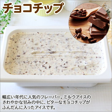 【ふるさと納税】598.北海道 アイスクリーム チョコチップ ジェラート 2L 業務用 2リットル チョコ アイス ミルク チョコレート 大容量 いっぱい 牛乳 スイーツ 手作り Gift 贈り物 贈答品 ギフト プレゼント お取り寄せ 北海道 弟子屈 北国からの贈り物 15000円