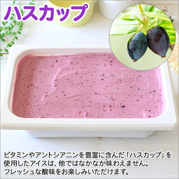 【ふるさと納税】607.北海道 アイスクリーム ハスカップ ジェラート 2L 業務用 2リットル アイス フルーツ ミルク 大容量 いっぱい 牛乳 スイーツ 手作り Gift 贈り物 贈答品 ギフト プレゼント お取り寄せ 北海道 弟子屈 北国からの贈り物 15000円