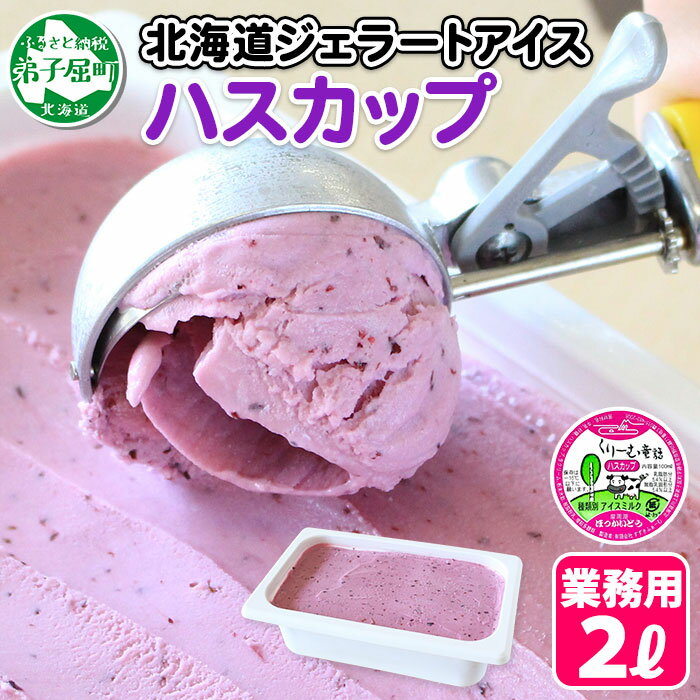 607.くりーむ童話 アイスクリーム ハスカップ ジェラート 2L 業務用 2リットル アイス フルーツ ミルク いっぱい 牛乳 スイーツ 手作り 贈り物 贈答品 gift ギフト プレゼント お取り寄せ 15000円 北海道 弟子屈町