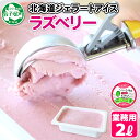 608.くりーむ童話 アイスクリーム ラズベリー ジェラート 2L 業務用 2リットル ベリー アイス フルーツ ミルク いっぱい 牛乳 スイーツ 手作り 贈り物 贈答品 gift ギフト プレゼント お取り寄せ クリーム童話 15000円 北海道 弟子屈町