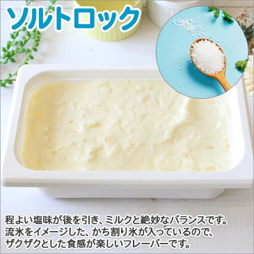 【ふるさと納税】613.北海道 アイスクリーム ソルトロック ジェラート 2L 業務用 2リットル 塩 アイス ソルト ミルク 大容量 いっぱい 牛乳 スイーツ 手作り Gift 贈り物 贈答品 ギフト プレゼント お取り寄せ 北海道 弟子屈 北国からの贈り物 15000円