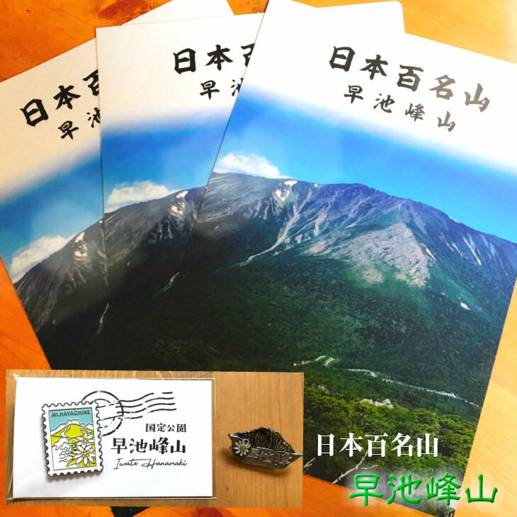 【ふるさと納税】早池峰山 グッズ バッチ2種 クリアファイル 3枚 セット