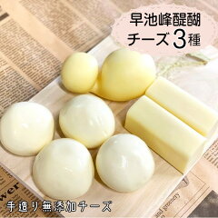 https://thumbnail.image.rakuten.co.jp/@0_gold/f032051-hanamaki/cheesseisann/cheese3-1.jpg