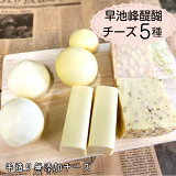 【ふるさと納税】早池峰醍醐　手造り無添加チーズ5種類セット ギフト