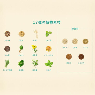 【ふるさと納税】爽健美茶 2L×6本セット ペットボトル お茶 カフェインゼロ コカ・コーラ