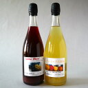 【ふるさと納税】岩手ブレンド・シードルミックス 2本(750ml)セット ワイン お酒 りんご ぶどう 炭酸 ギフト